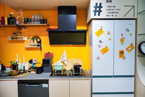 从卖产品到生活秀场 2024年家电行业深入注意力经济